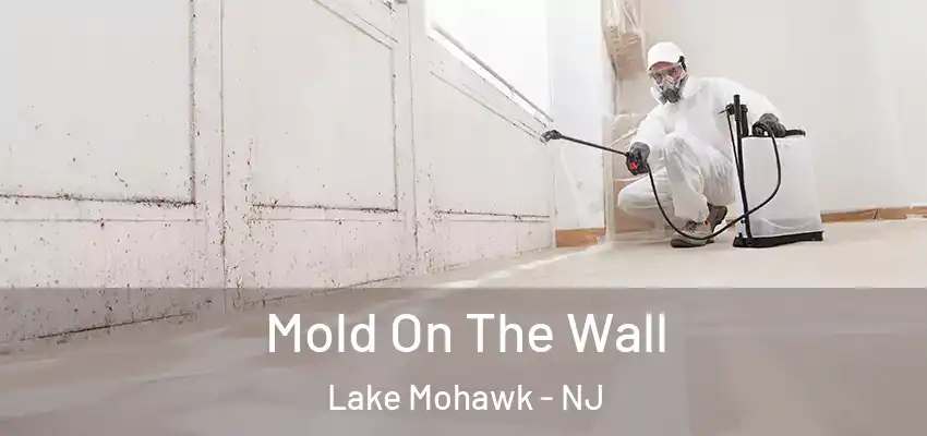 Mold On The Wall Lake Mohawk - NJ