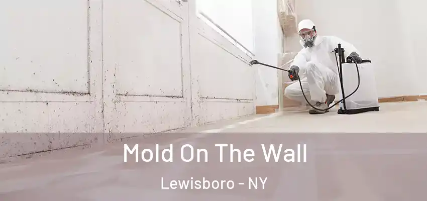Mold On The Wall Lewisboro - NY