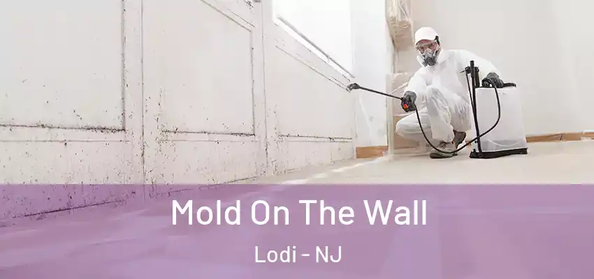 Mold On The Wall Lodi - NJ