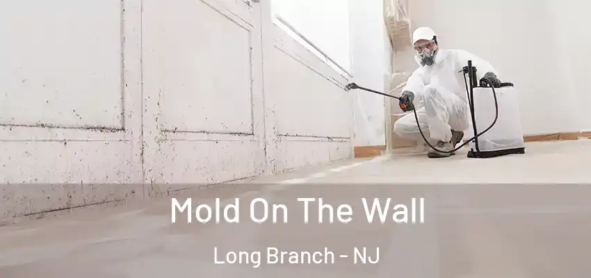 Mold On The Wall Long Branch - NJ