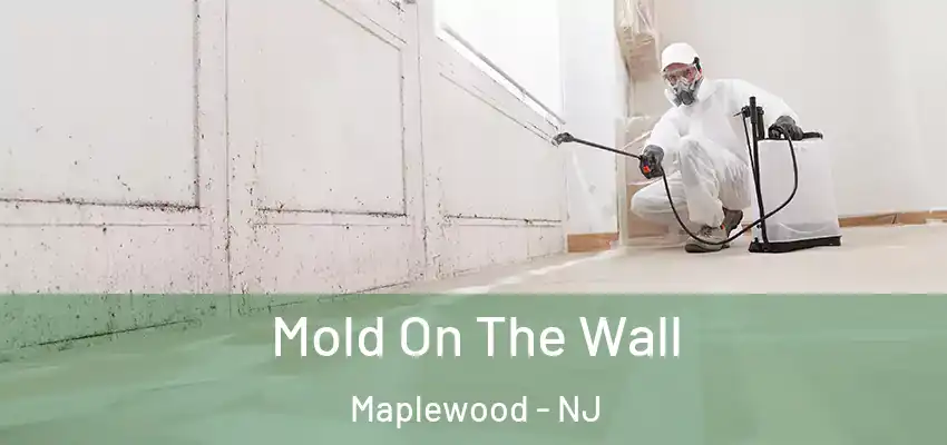 Mold On The Wall Maplewood - NJ