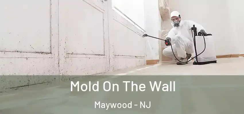 Mold On The Wall Maywood - NJ