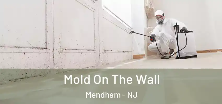  Mold On The Wall Mendham - NJ