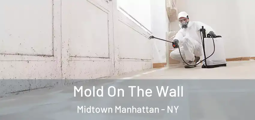  Mold On The Wall Midtown Manhattan - NY