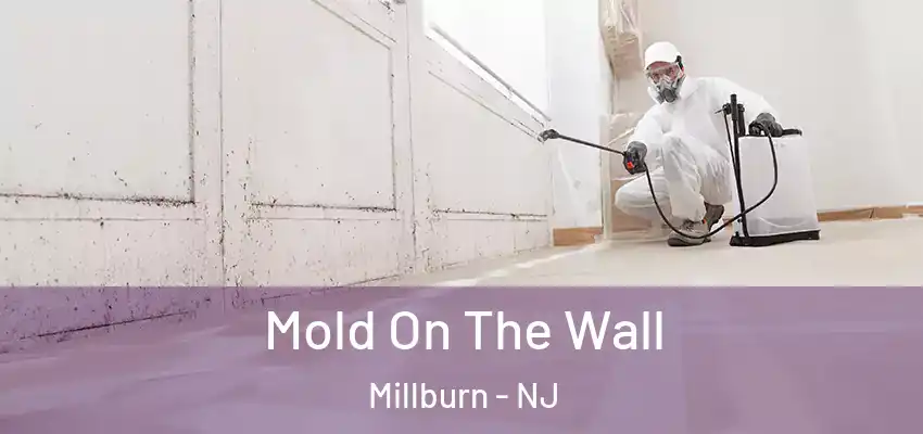 Mold On The Wall Millburn - NJ