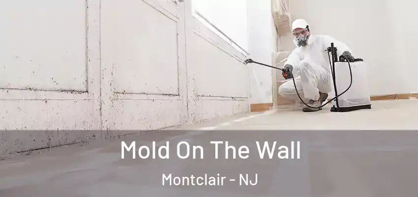  Mold On The Wall Montclair - NJ
