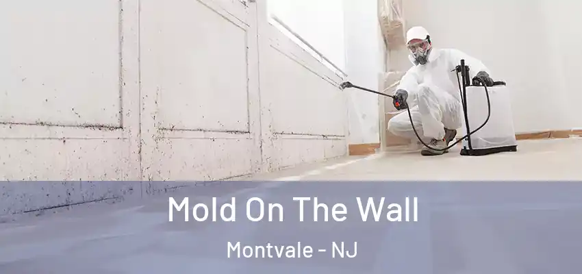 Mold On The Wall Montvale - NJ