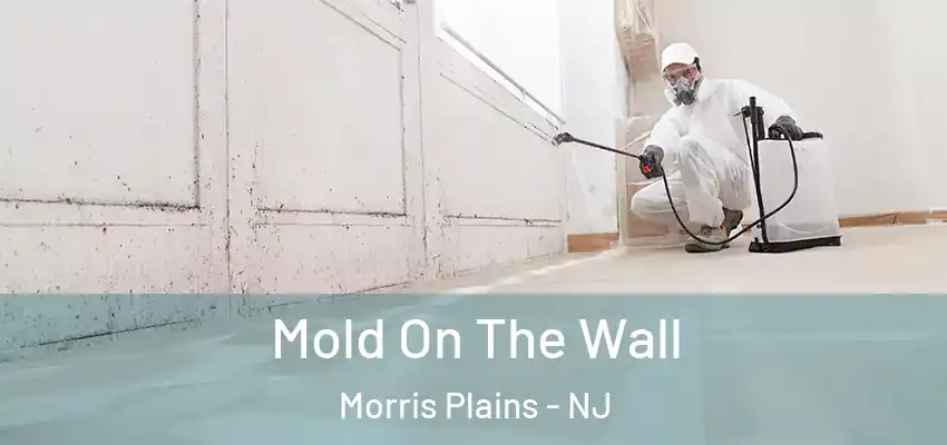  Mold On The Wall Morris Plains - NJ