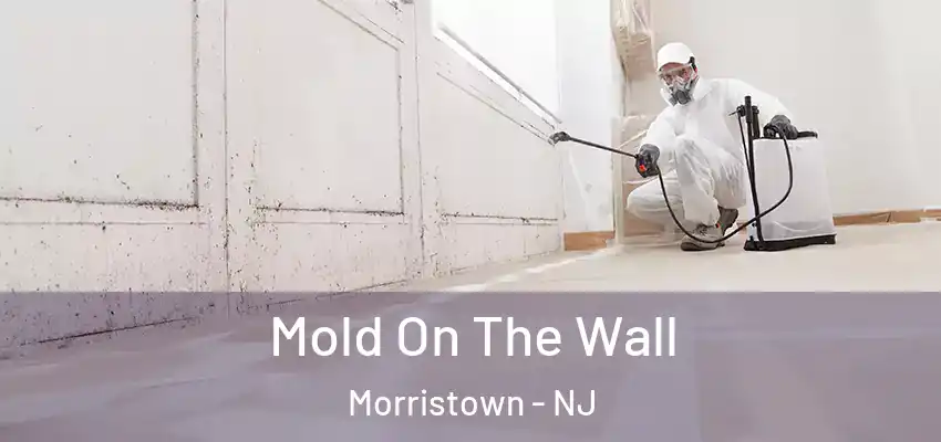  Mold On The Wall Morristown - NJ
