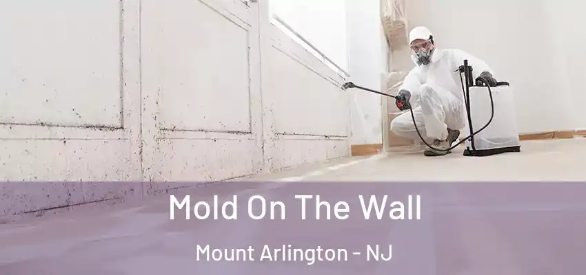 Mold On The Wall Mount Arlington - NJ