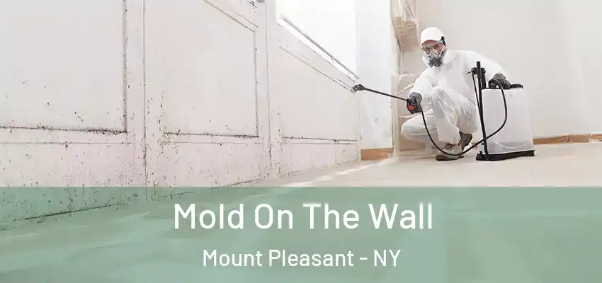  Mold On The Wall Mount Pleasant - NY