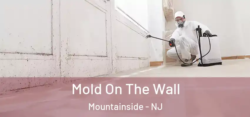 Mold On The Wall Mountainside - NJ