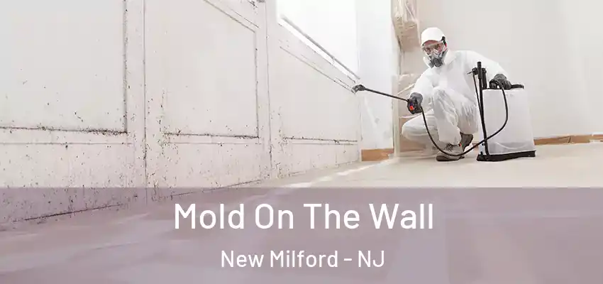  Mold On The Wall New Milford - NJ
