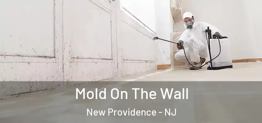 Mold On The Wall New Providence - NJ
