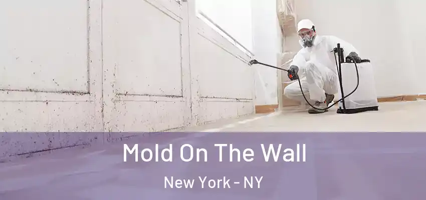 Mold On The Wall New York - NY