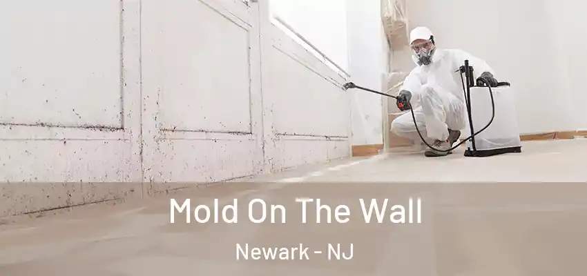 Mold On The Wall Newark - NJ