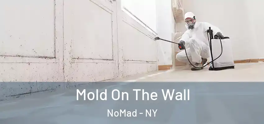  Mold On The Wall NoMad - NY