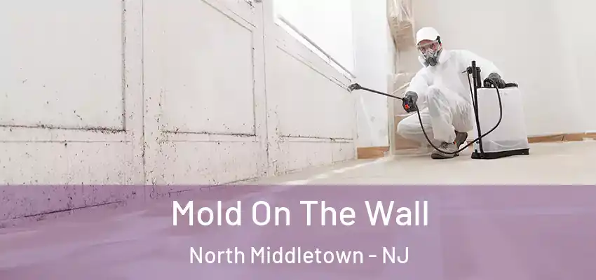 Mold On The Wall North Middletown - NJ