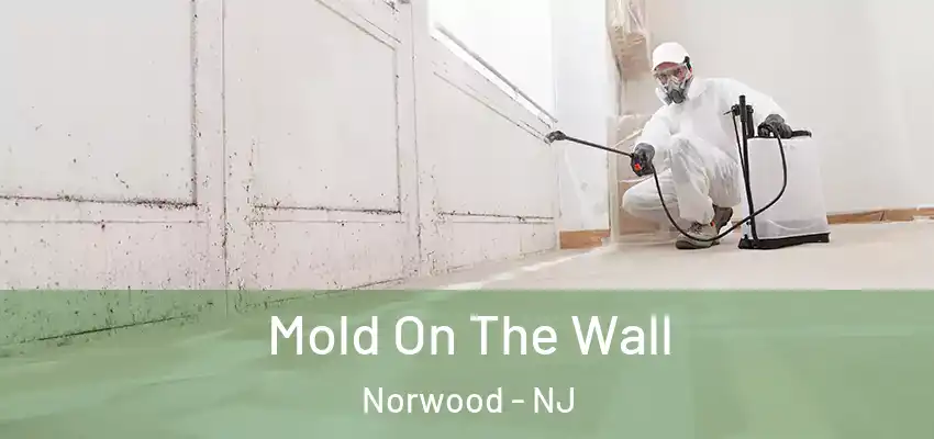 Mold On The Wall Norwood - NJ