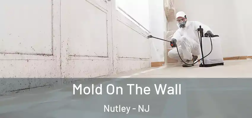 Mold On The Wall Nutley - NJ