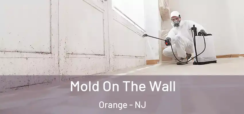 Mold On The Wall Orange - NJ