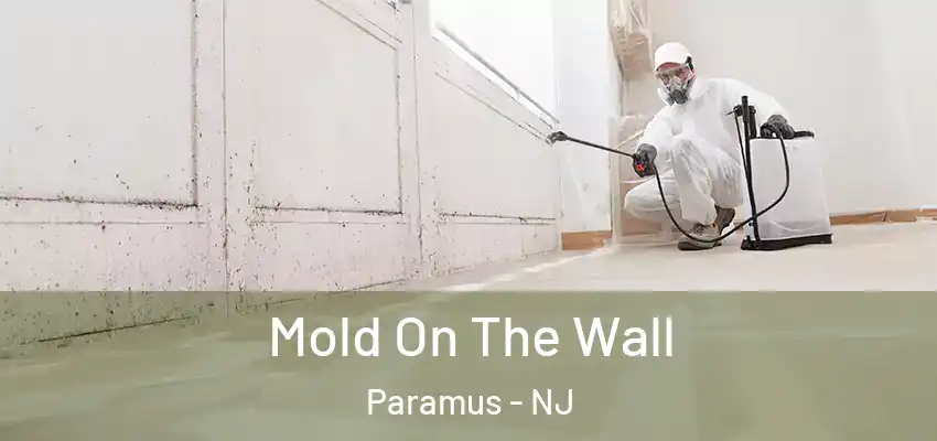 Mold On The Wall Paramus - NJ