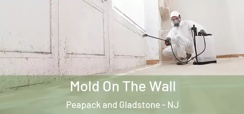 Mold On The Wall Peapack and Gladstone - NJ