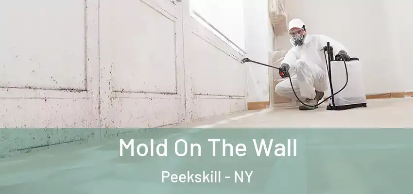 Mold On The Wall Peekskill - NY
