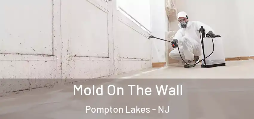  Mold On The Wall Pompton Lakes - NJ