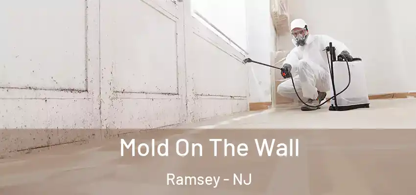 Mold On The Wall Ramsey - NJ