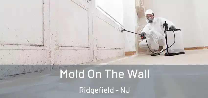 Mold On The Wall Ridgefield - NJ