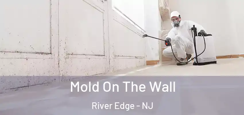  Mold On The Wall River Edge - NJ