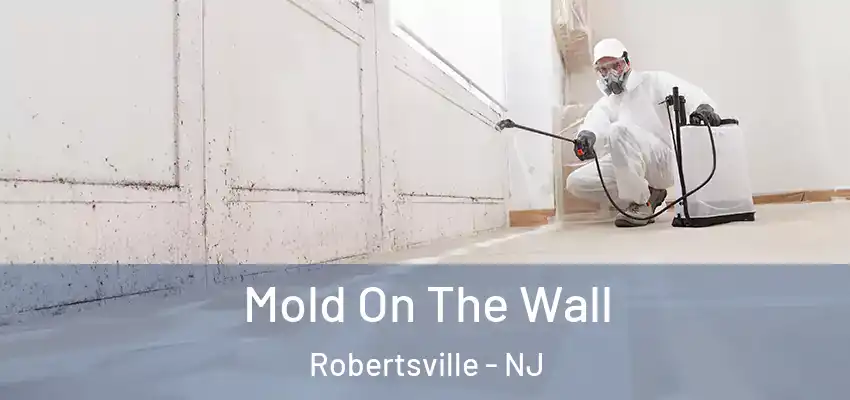 Mold On The Wall Robertsville - NJ