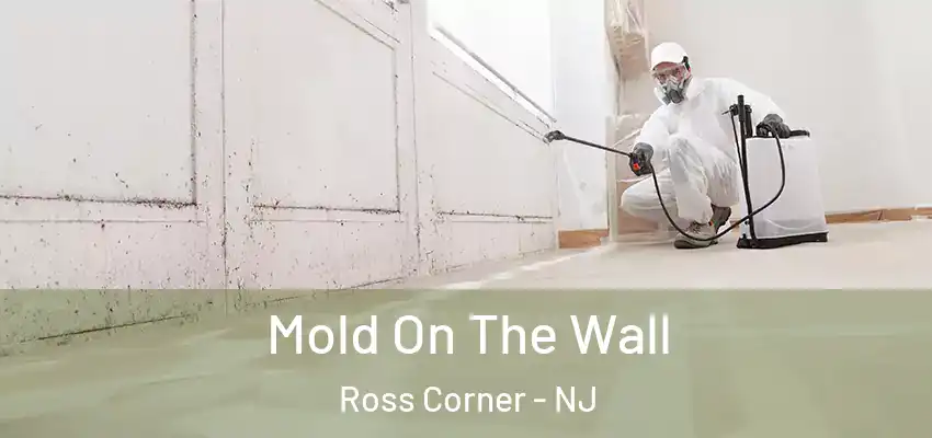  Mold On The Wall Ross Corner - NJ