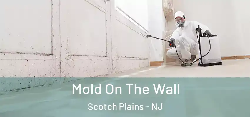 Mold On The Wall Scotch Plains - NJ