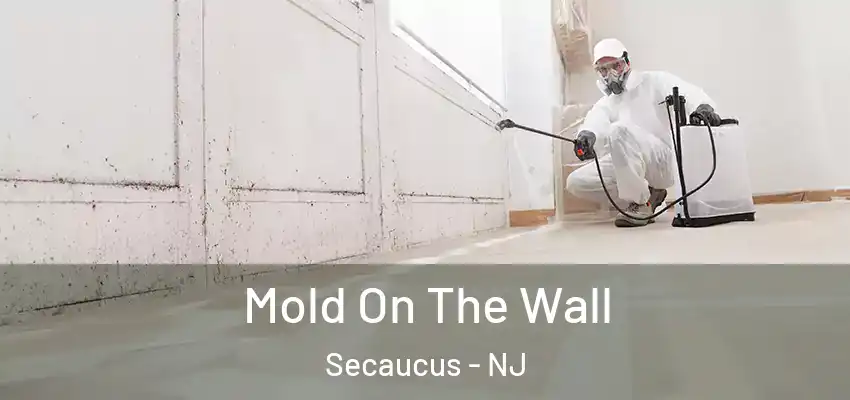 Mold On The Wall Secaucus - NJ