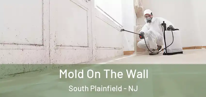 Mold On The Wall South Plainfield - NJ