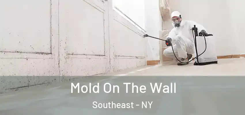  Mold On The Wall Southeast - NY