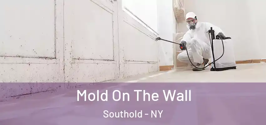 Mold On The Wall Southold - NY