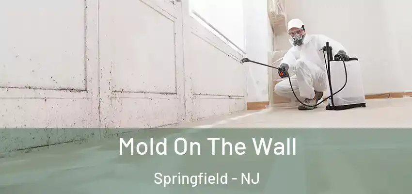  Mold On The Wall Springfield - NJ