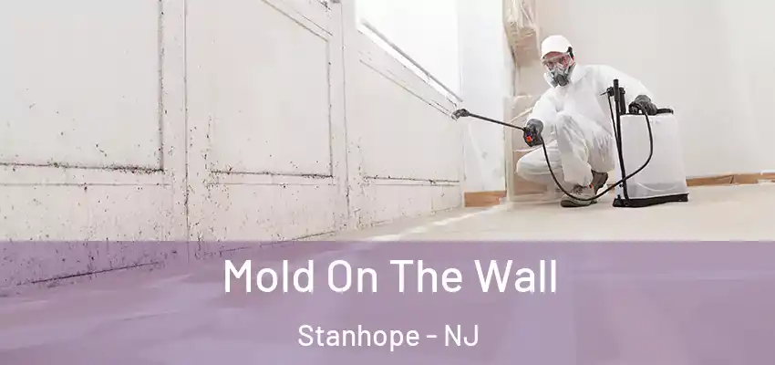 Mold On The Wall Stanhope - NJ
