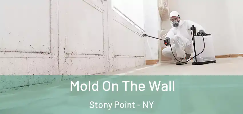  Mold On The Wall Stony Point - NY