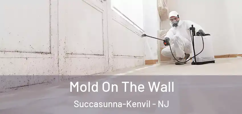 Mold On The Wall Succasunna-Kenvil - NJ