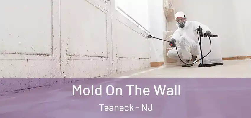 Mold On The Wall Teaneck - NJ