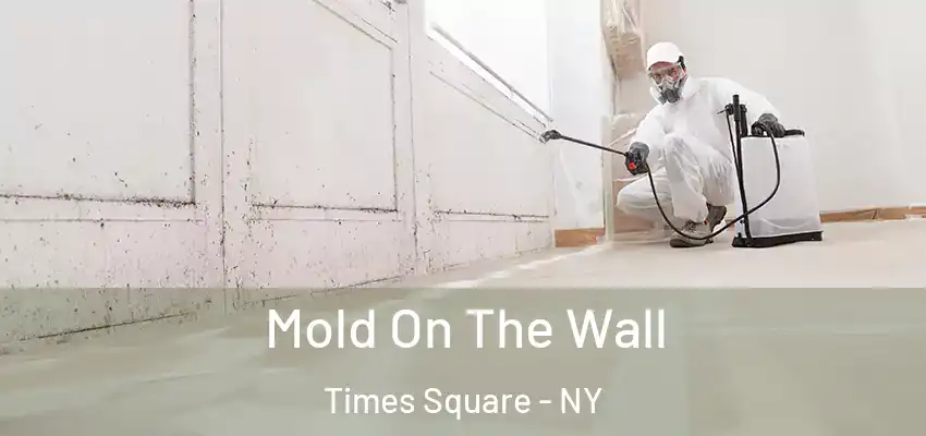 Mold On The Wall Times Square - NY