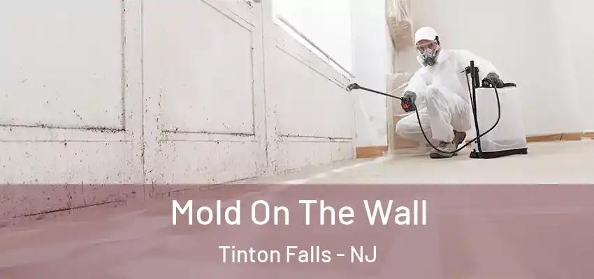  Mold On The Wall Tinton Falls - NJ