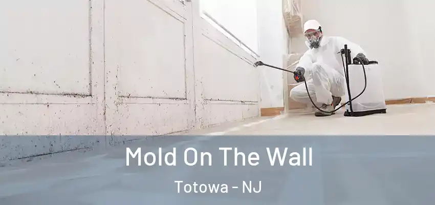 Mold On The Wall Totowa - NJ