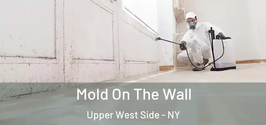  Mold On The Wall Upper West Side - NY