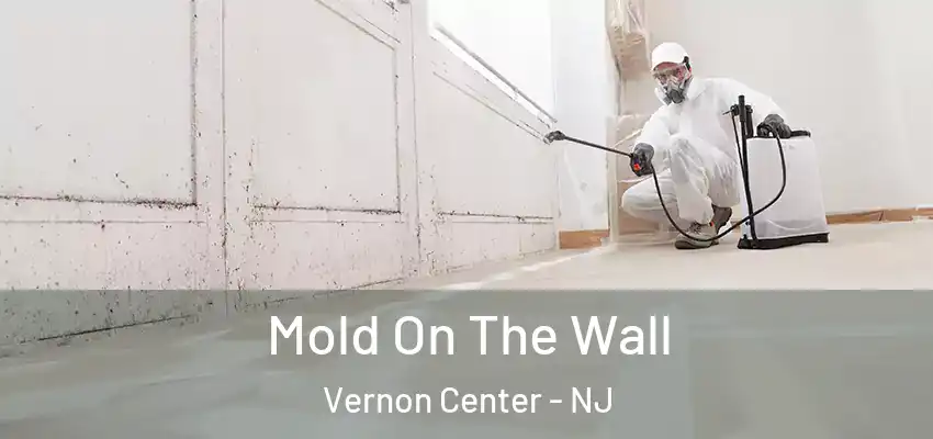 Mold On The Wall Vernon Center - NJ
