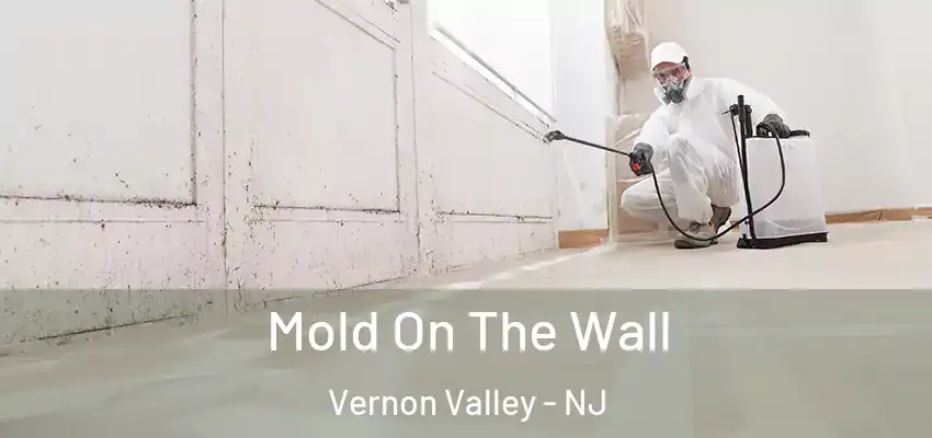 Mold On The Wall Vernon Valley - NJ
